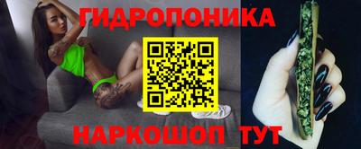 индика Пушкино