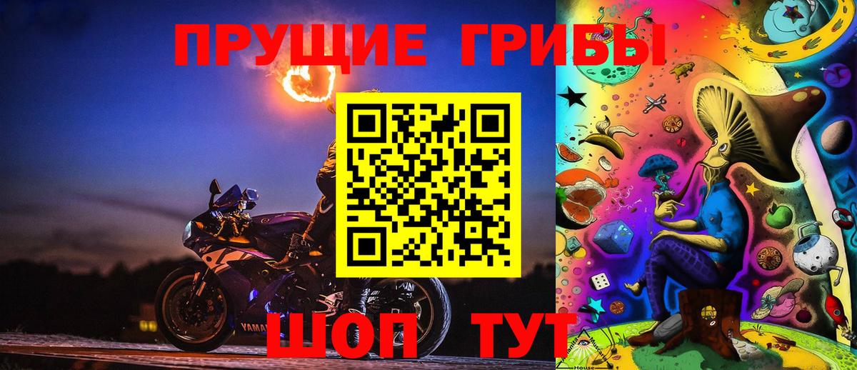 Псилоцибиновые грибы Psilocybe Похвистнево