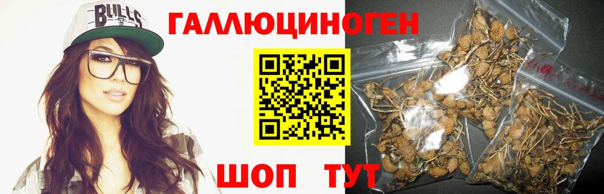 Похвистнево  Псилоцибиновые грибы Cubensis  Галлюциногенные грибы Psilocybine cubensis  Вход с VPN 